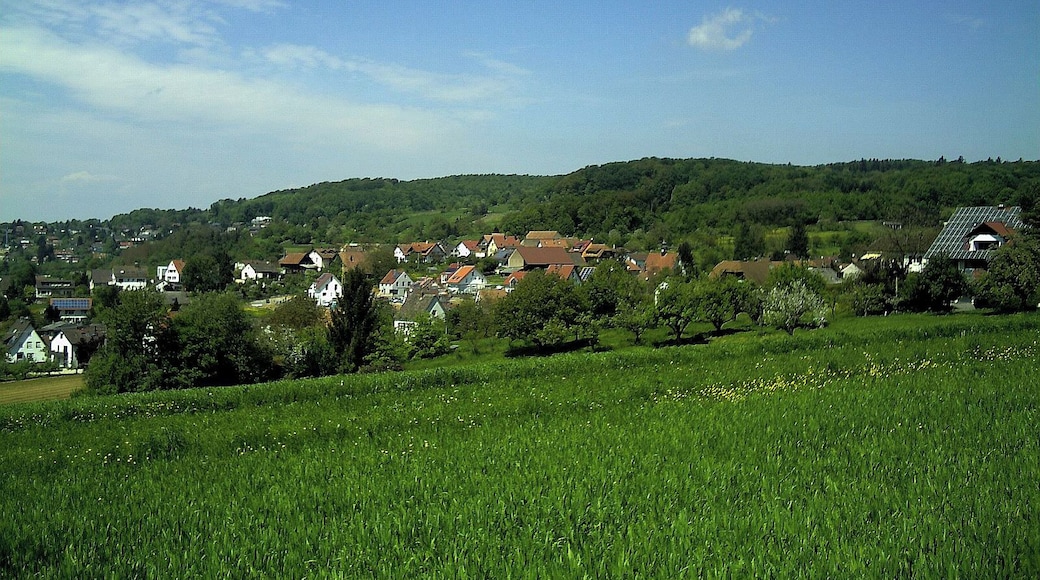 Windenreute Panorama