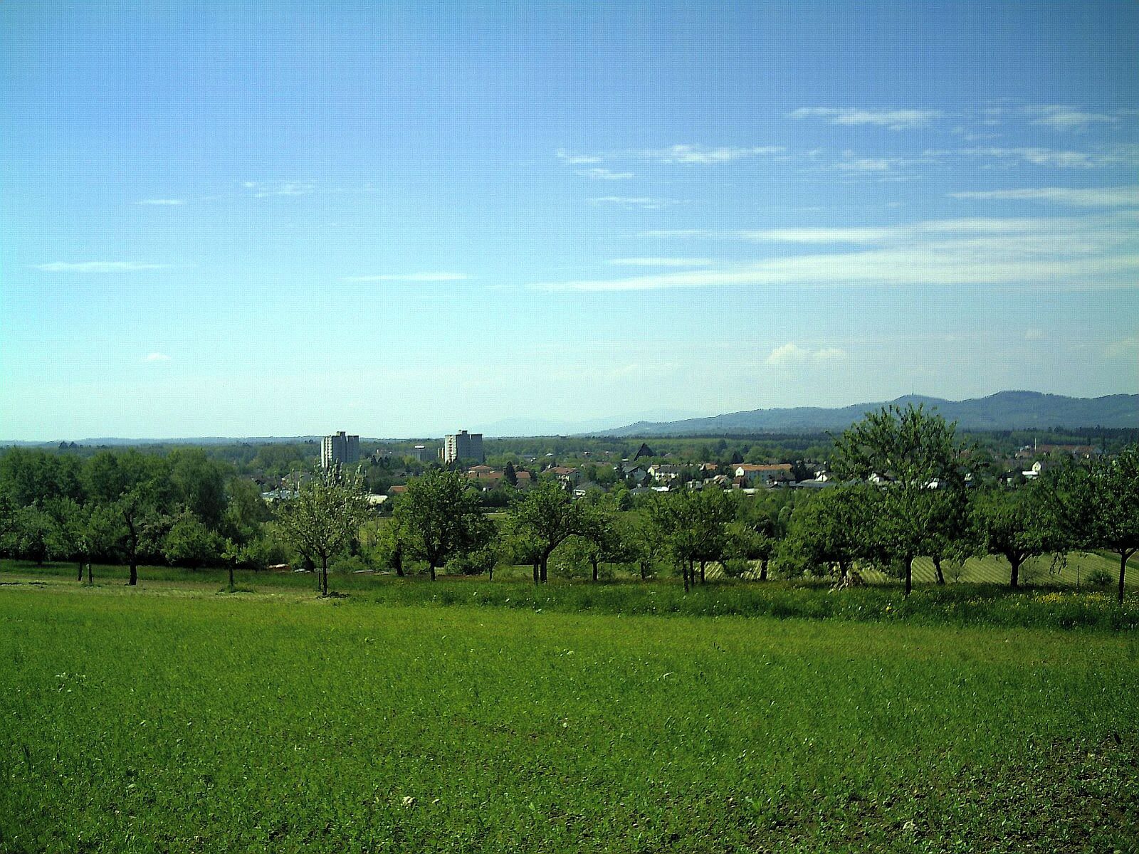 Windenreute Panorama