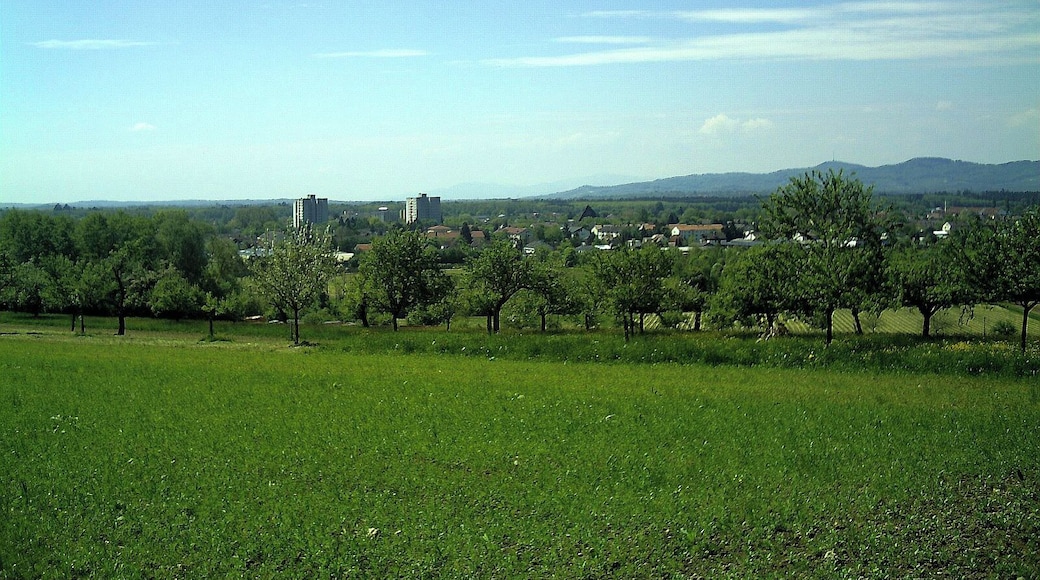 Windenreute Panorama