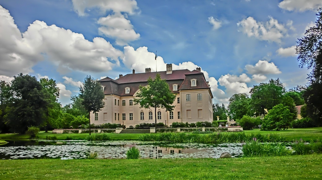 Blick aufs Schloß über den Schloßsee Juli 2014