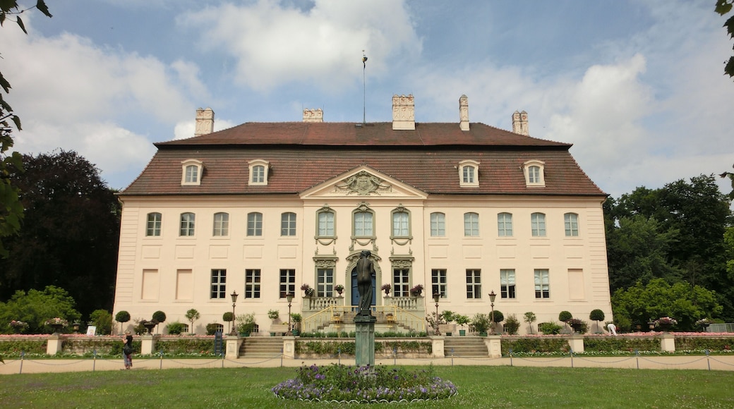 Schloss Branitz Juli 2014