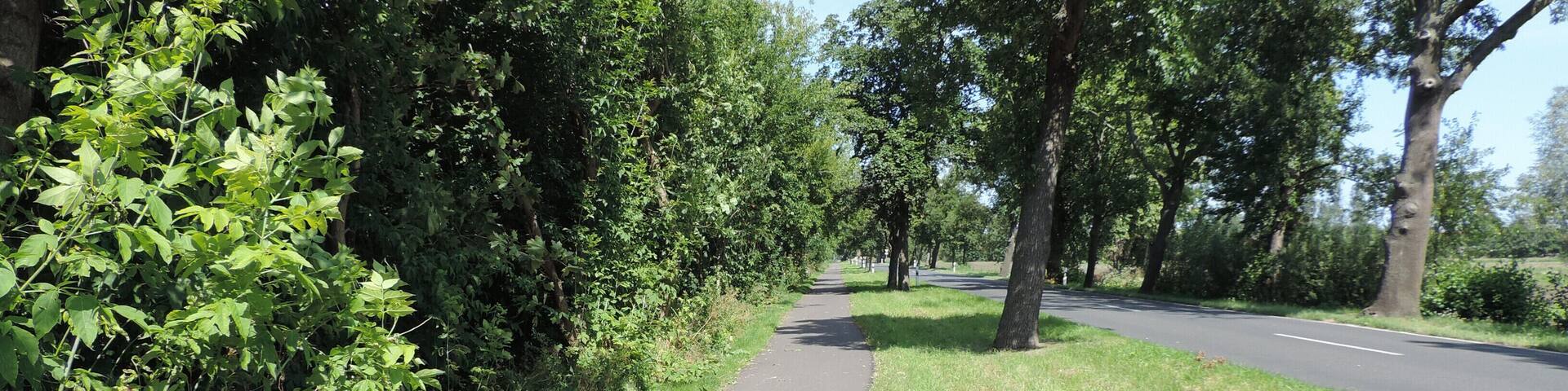 Radweg Felgentreu - Zülichendorf