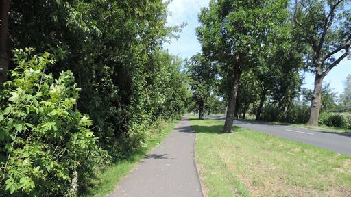 Radweg Felgentreu - Zülichendorf