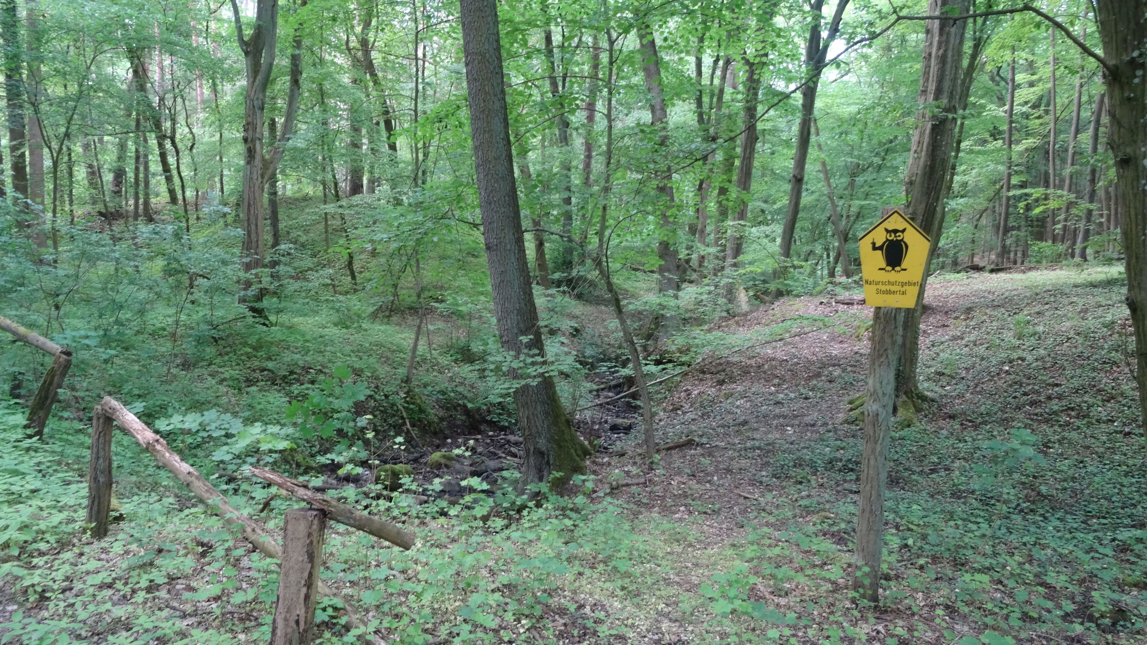 A forest with a yellow sign indicating a nature protection area.