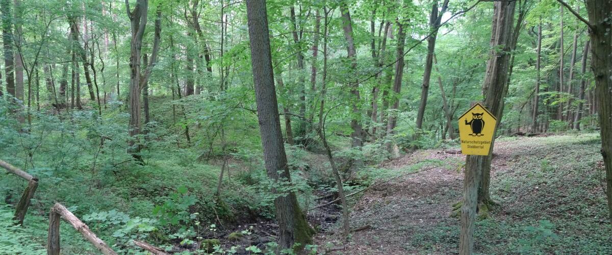 A forest with a yellow sign indicating a nature protection area.