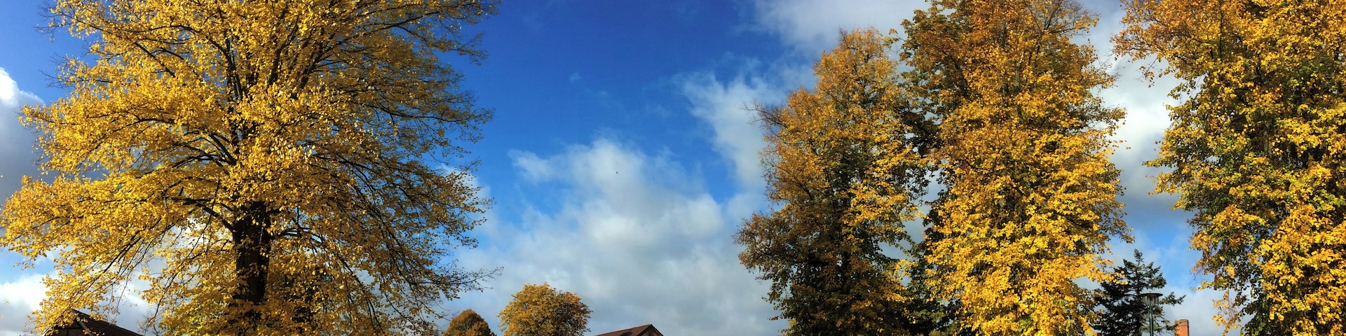 Dallmin, Marktplatz 2015