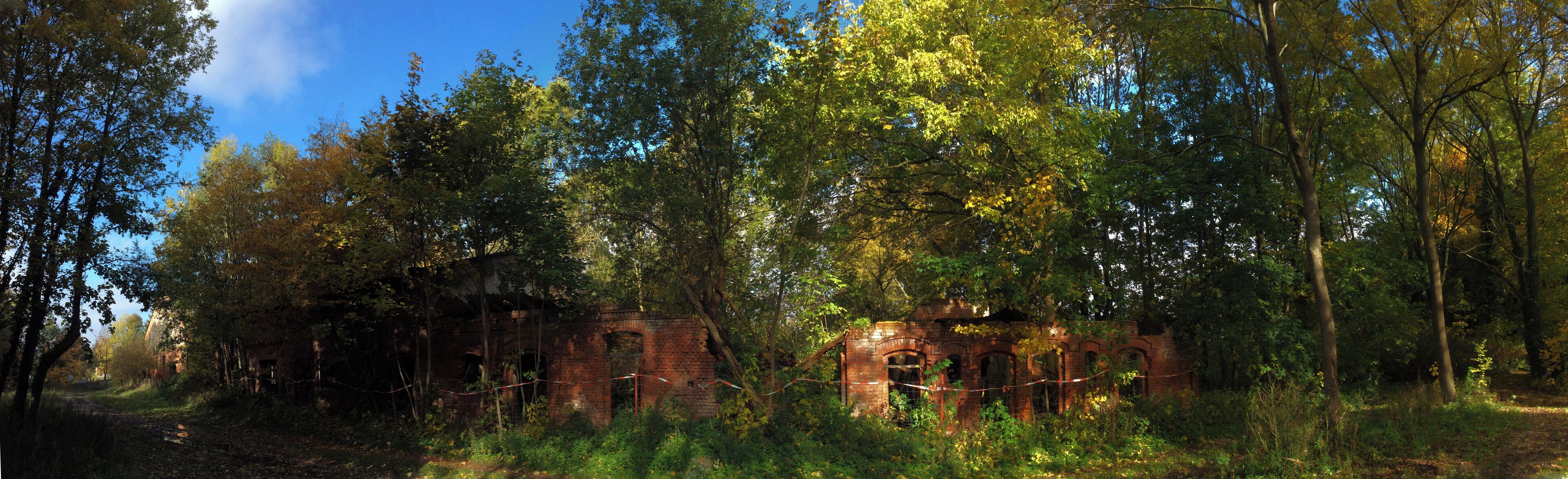 Dallmin, alte Tischlerei 2015