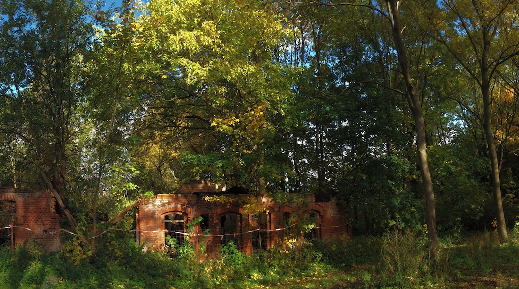 Dallmin, alte Tischlerei 2015