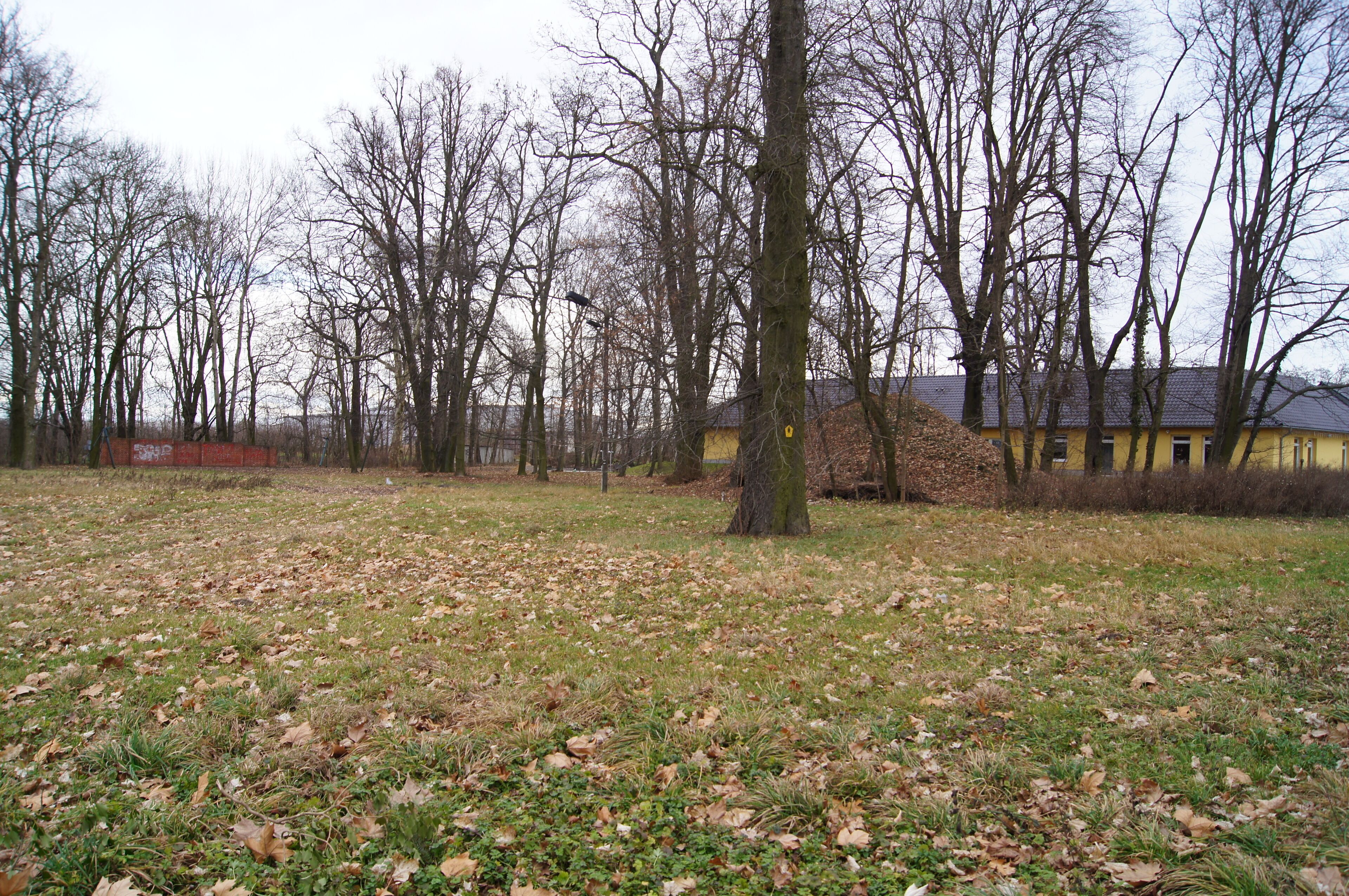 A park with leaf-covered ground, leafless trees, and a yellow building.