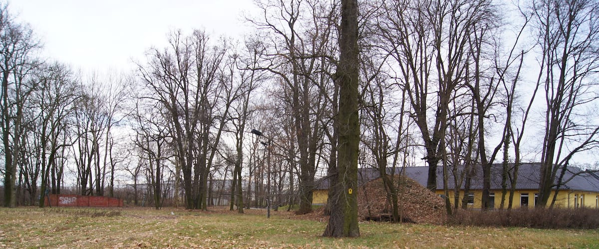 A park with leaf-covered ground, leafless trees, and a yellow building.