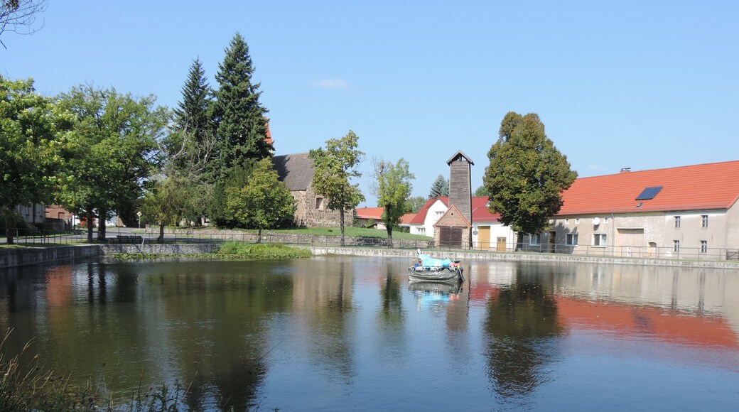 Dorfteich in Merzdorf /3