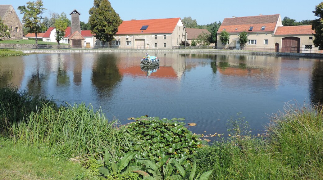 Dorfteich in Merzdorf /1