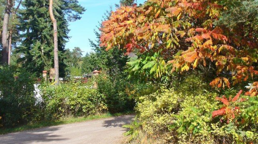 Finkenstein - Herbstlicher Farben (Autumnal Colours)
