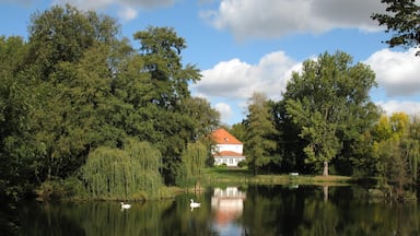 Park and manor house in Möglin in Brandenburg, Germany
