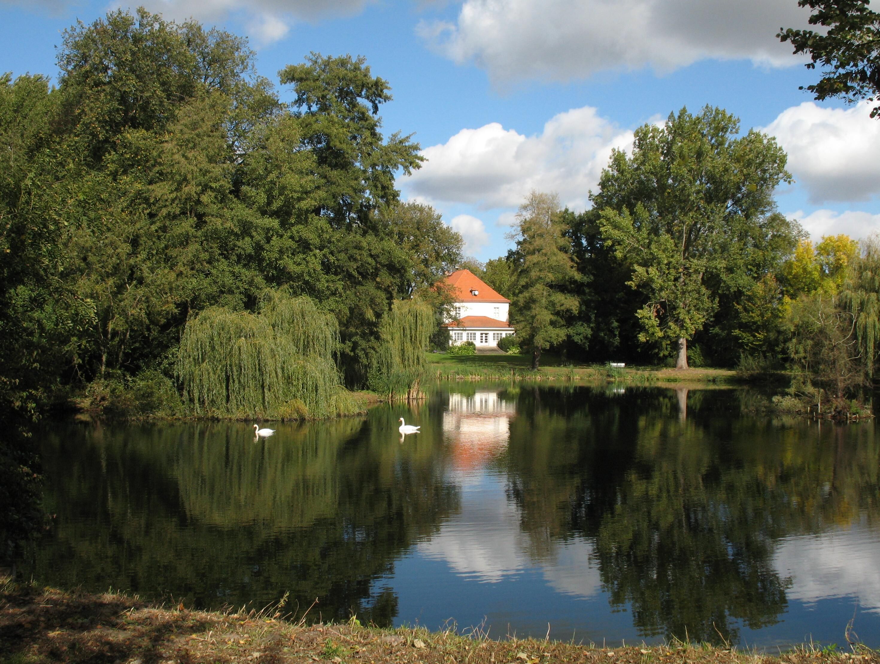 A serene lake with swans, a white house with a red roof, and lush greenery.