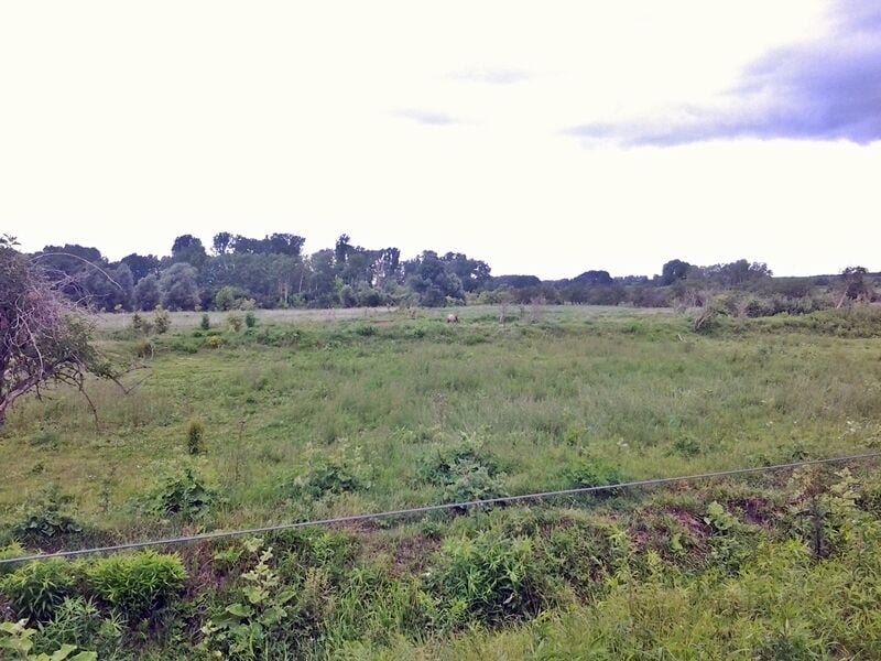 Schönerlinder ponds nature reserve
