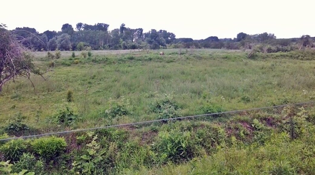 Schönerlinder ponds nature reserve