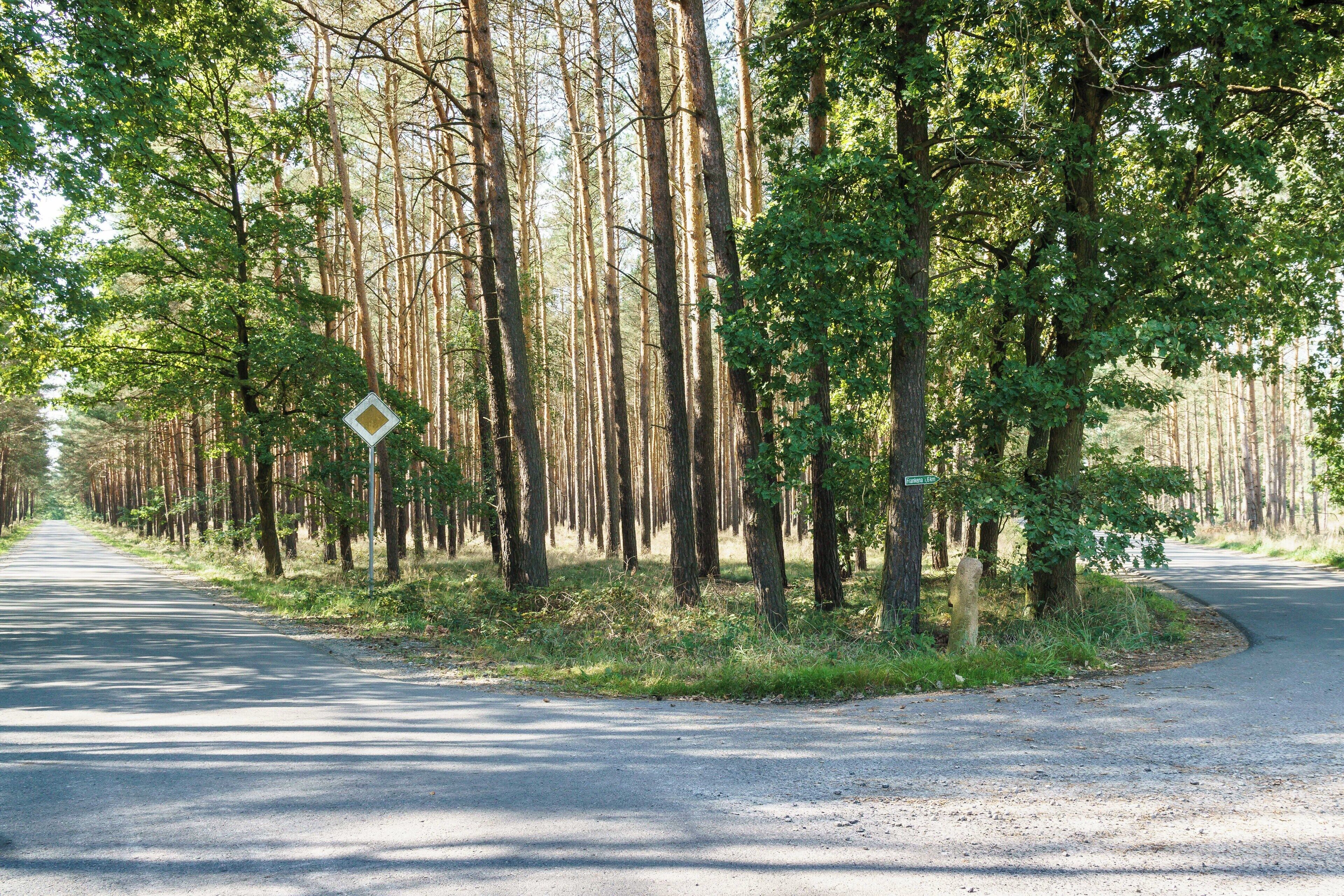 Steinkreuz, an der Landstraße von Münchhausen nach Hennersdorf am Abzweig nach Frankena in Sonnewalde OT Münchhausen
