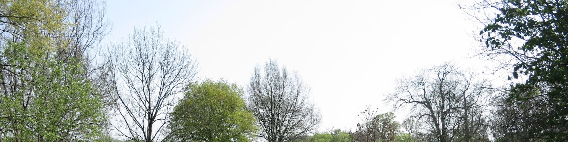 Die Ochtum in Bremen-Strom; Blick entgegen Fließrichtung