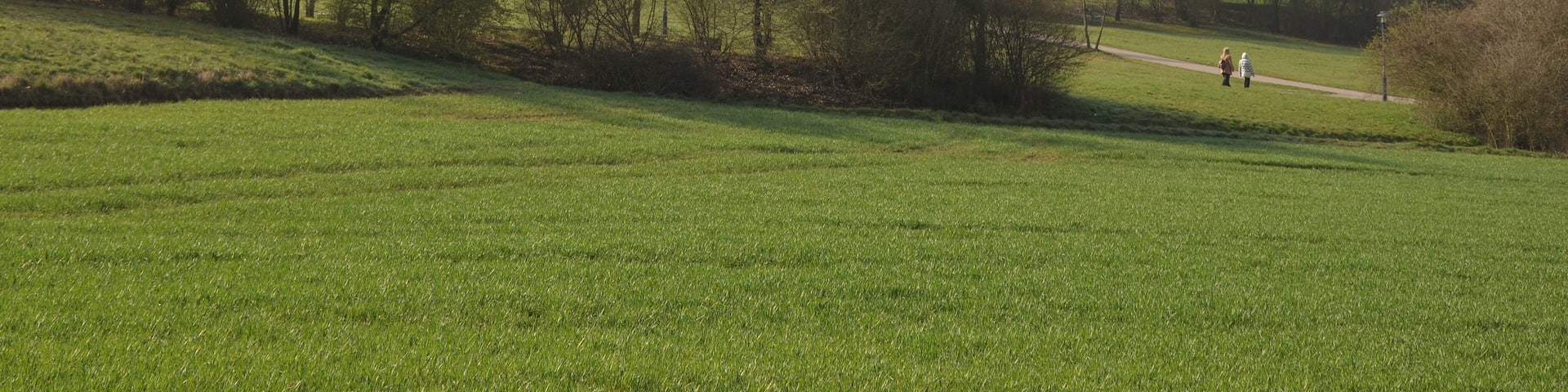 Werner Wicker clinic in Reinhardshausen, Bad Wildungen