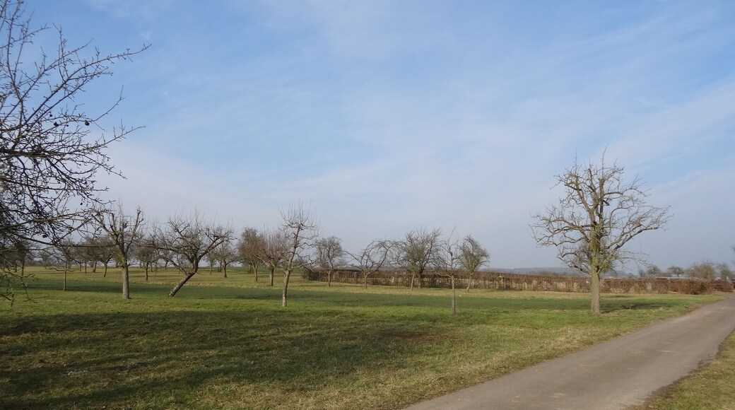 Jüdischer Friedhof (Obbornhofen)