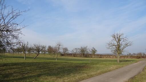 Jüdischer Friedhof (Obbornhofen)