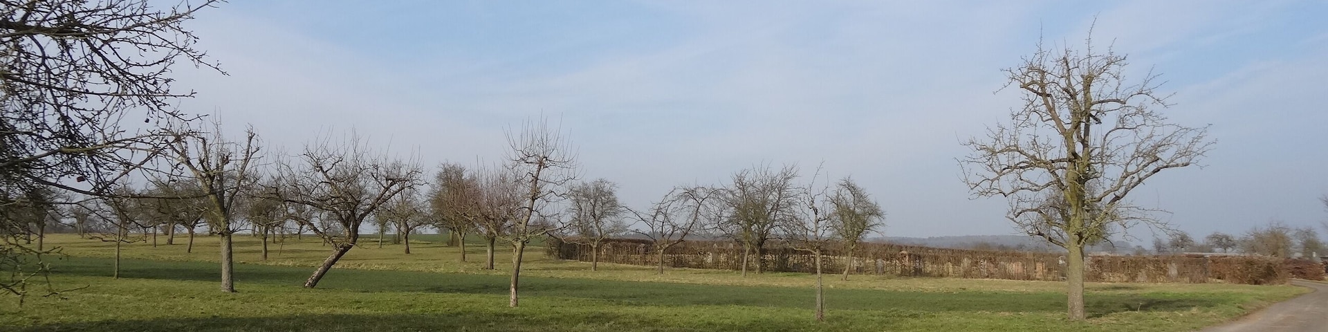 Jüdischer Friedhof (Obbornhofen)