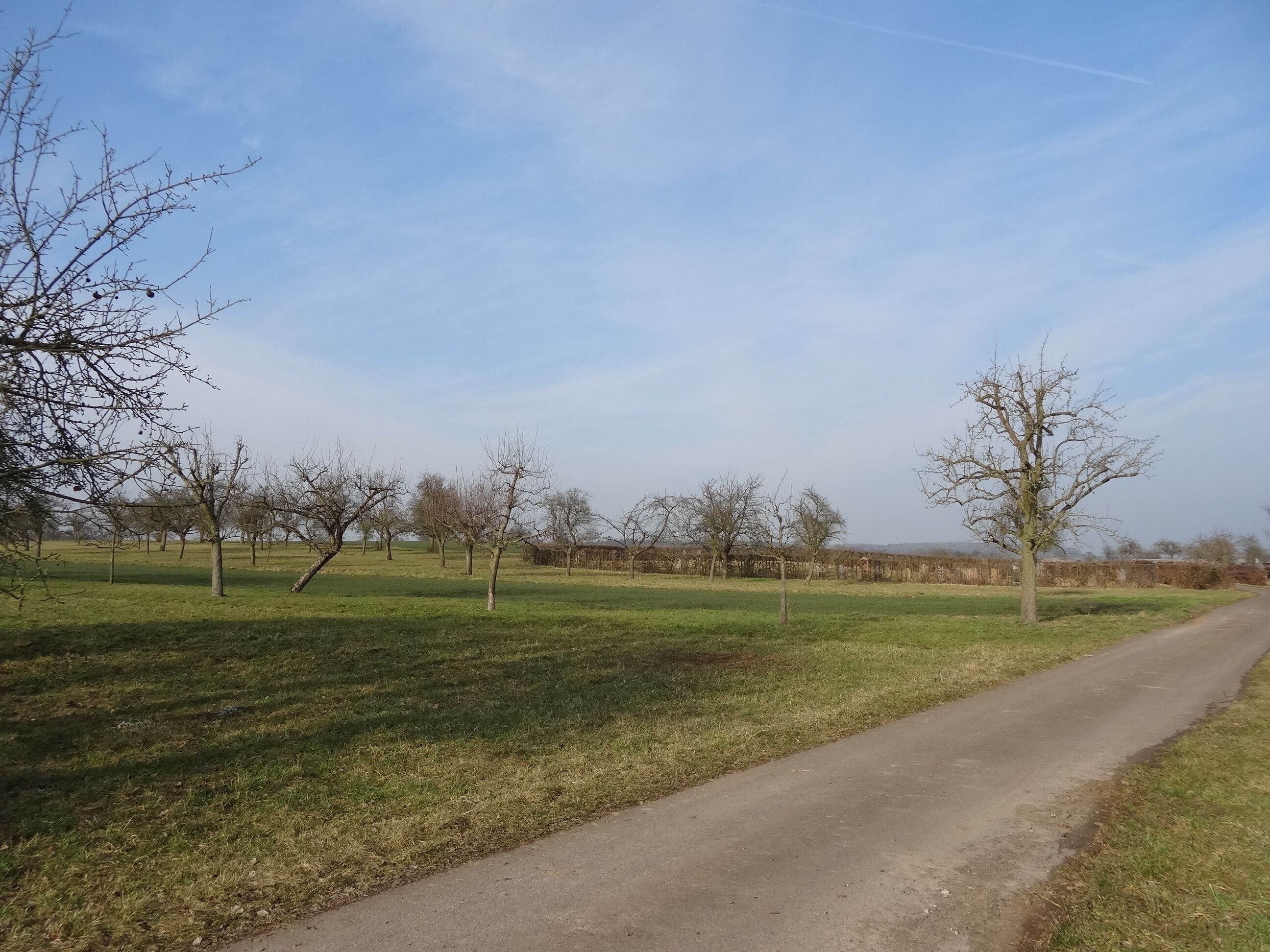 A rural road with trees and fields.