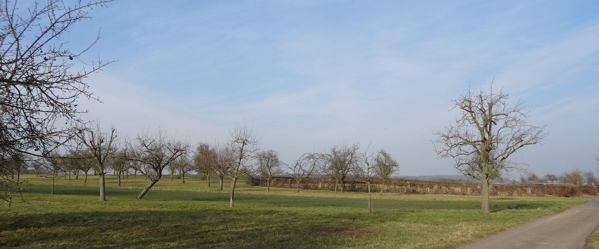 A rural road with trees and fields.