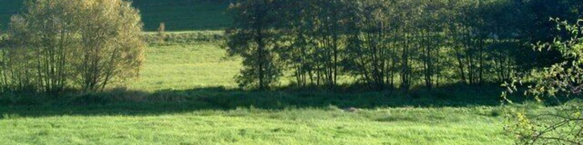 Landschaft bei Oberlemp