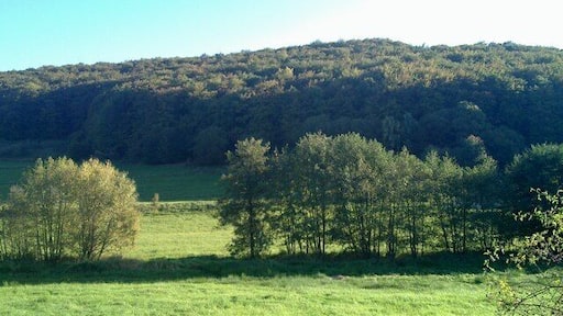 Landschaft bei Oberlemp