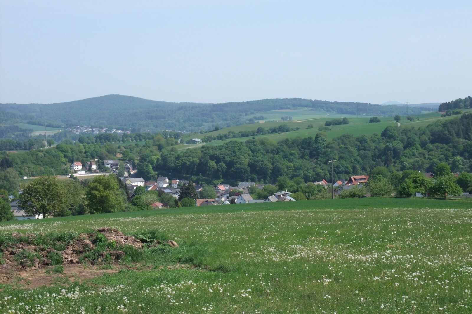 A rural landscape with rolling hills, a small village, and a field of white flowers.