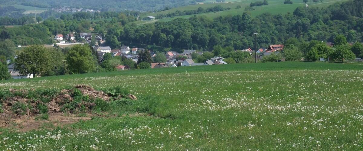 A rural landscape with rolling hills, a small village, and a field of white flowers.