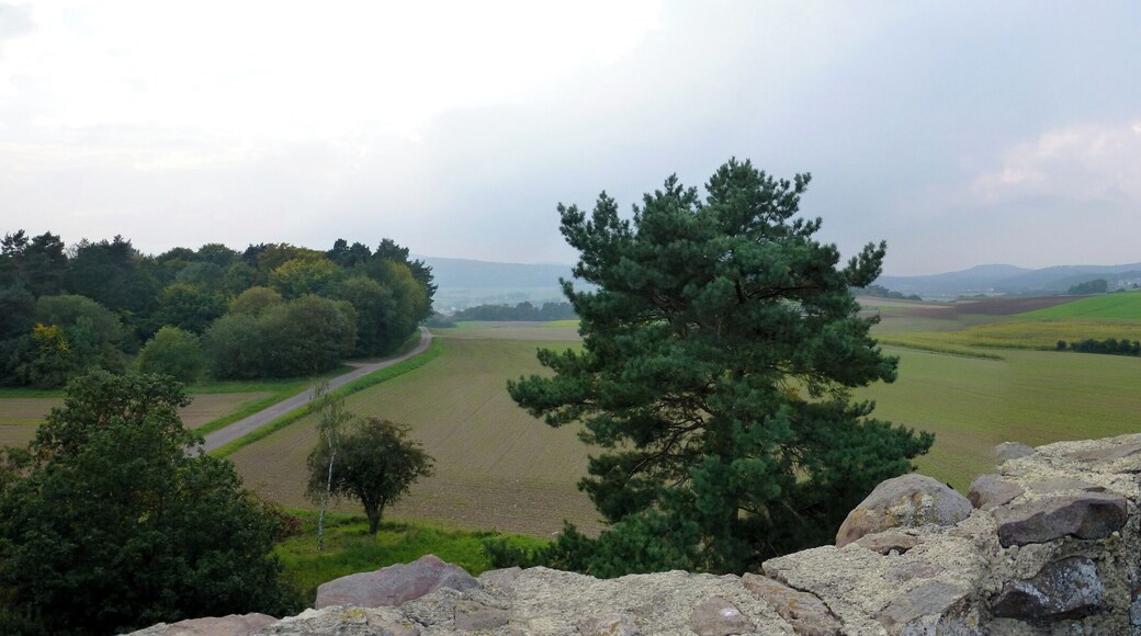 Panoramafoto von der Braunauer Warte mit Blick nach Westen zum Kellerwald