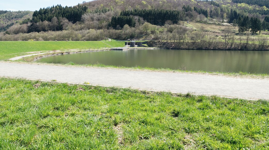 Der Perfstausee in Breidenstein