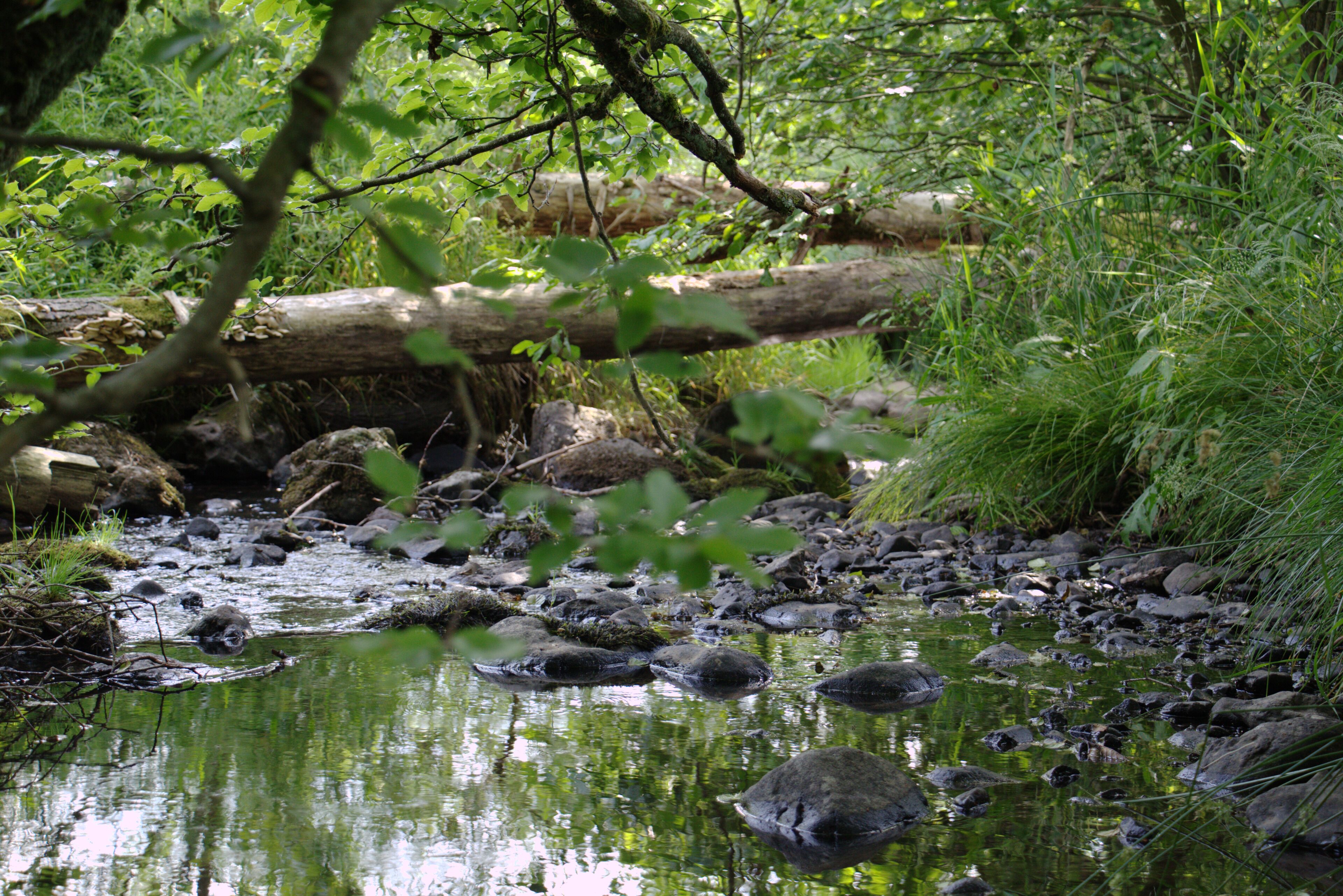 This is a picture of the protected area listed at WDPA under the ID