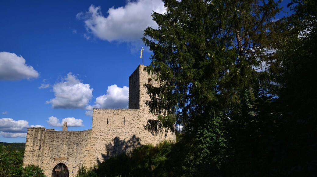 Old Freienfels Castle in Germany surrounded by green trees against the blue sky on a sunny day