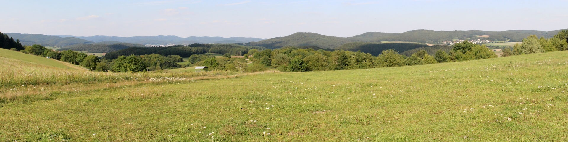 A grassy hillside with a clear sky, distant mountains, and scattered trees.