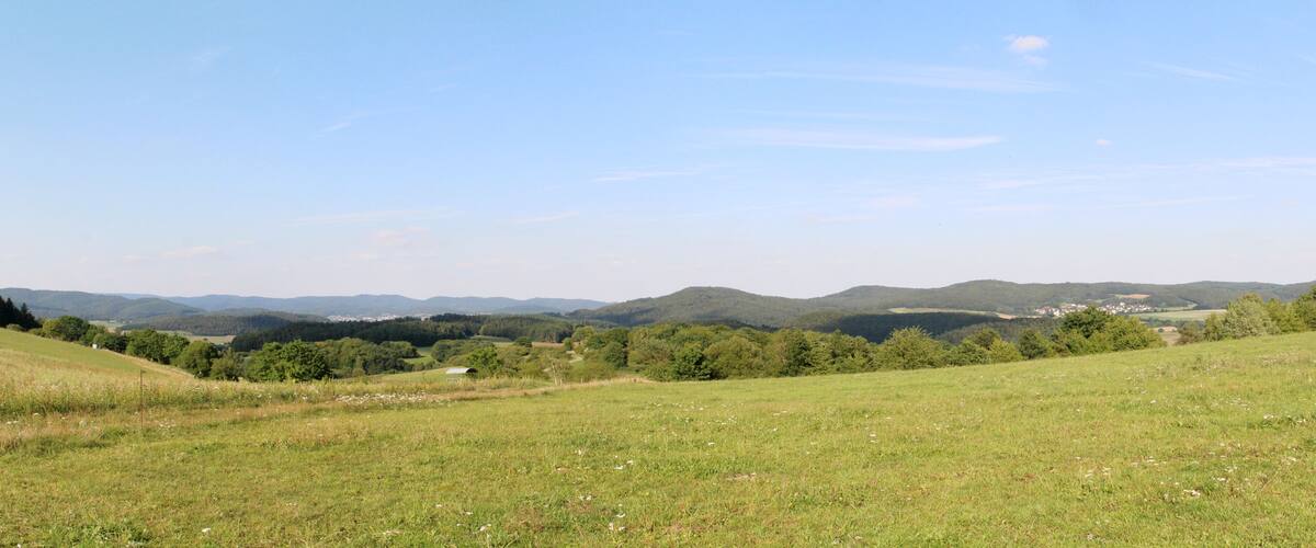 A grassy hillside with a clear sky, distant mountains, and scattered trees.