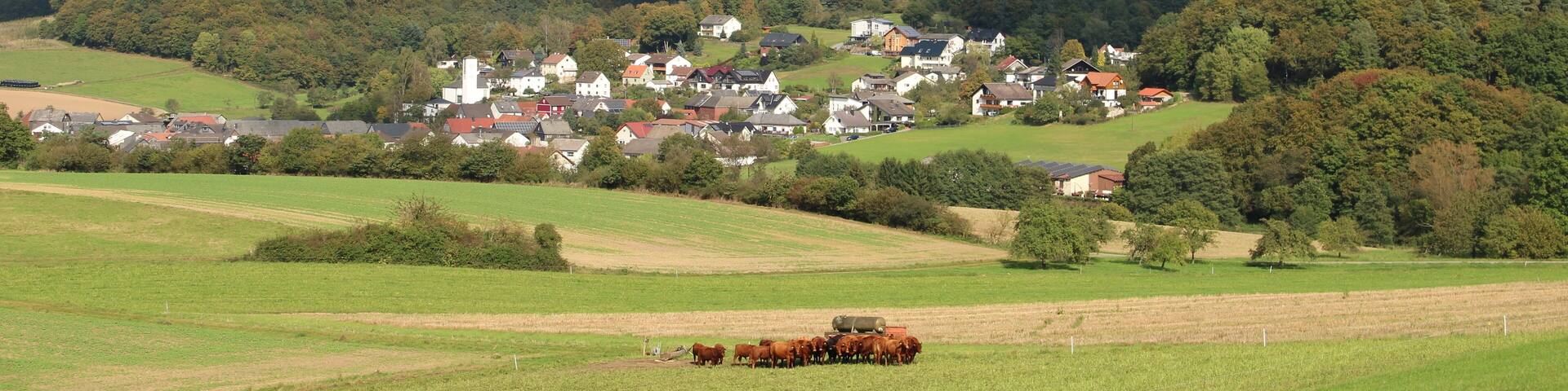 A rural landscape with a herd of cows in a field, rolling hills, and a village with houses in the background.