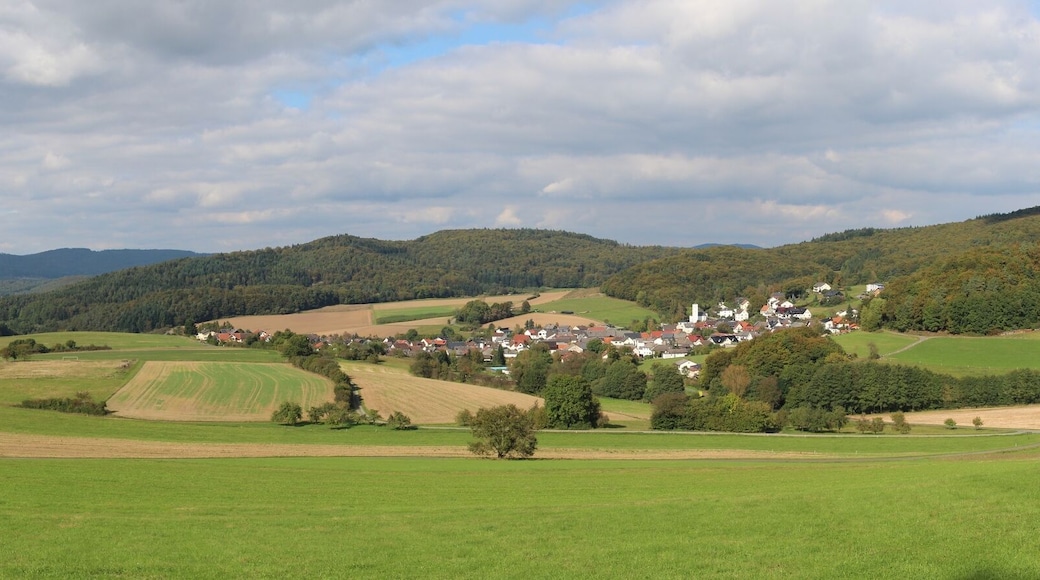 Herzhausen