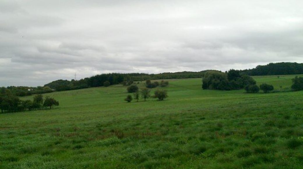Felder im Lahntal zwischen Garbenheim und Dudenhoven