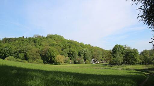 Naturschutzgebiet Krebsbachtal bei Kaichen