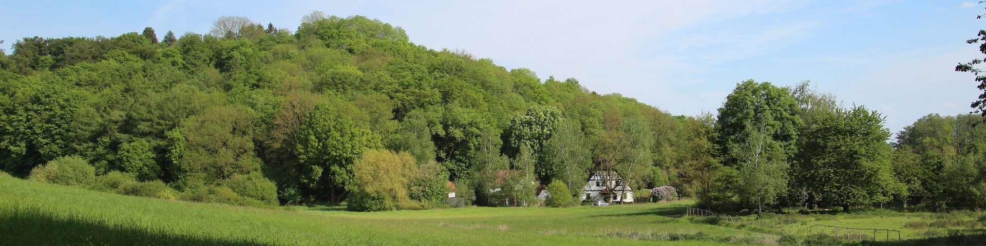 Naturschutzgebiet Krebsbachtal bei Kaichen