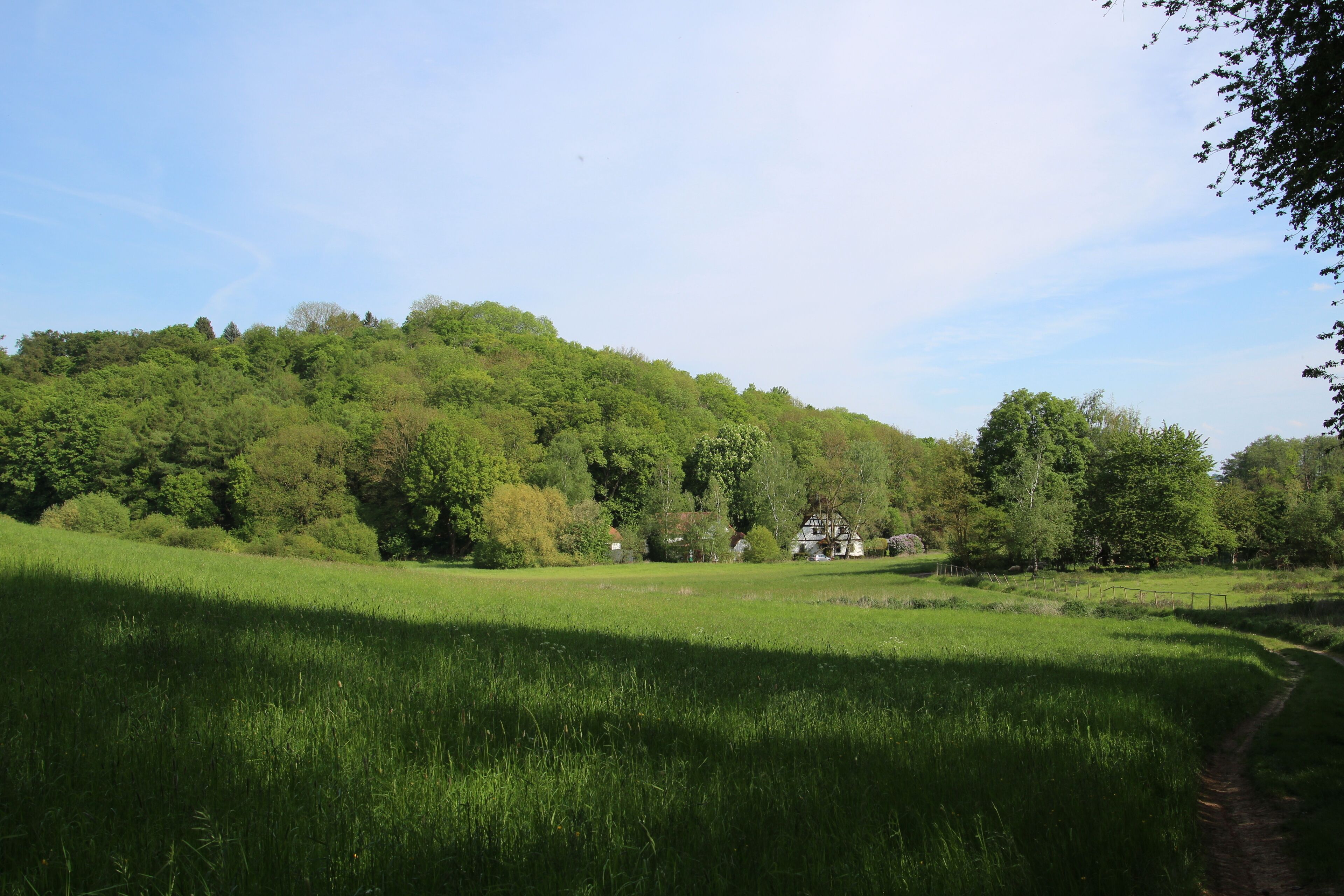 A lush green field with a path leading to a house surrounded by trees.