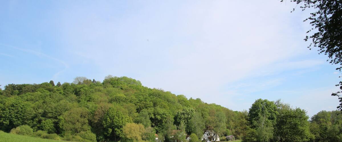 A lush green field with a path leading to a house surrounded by trees.