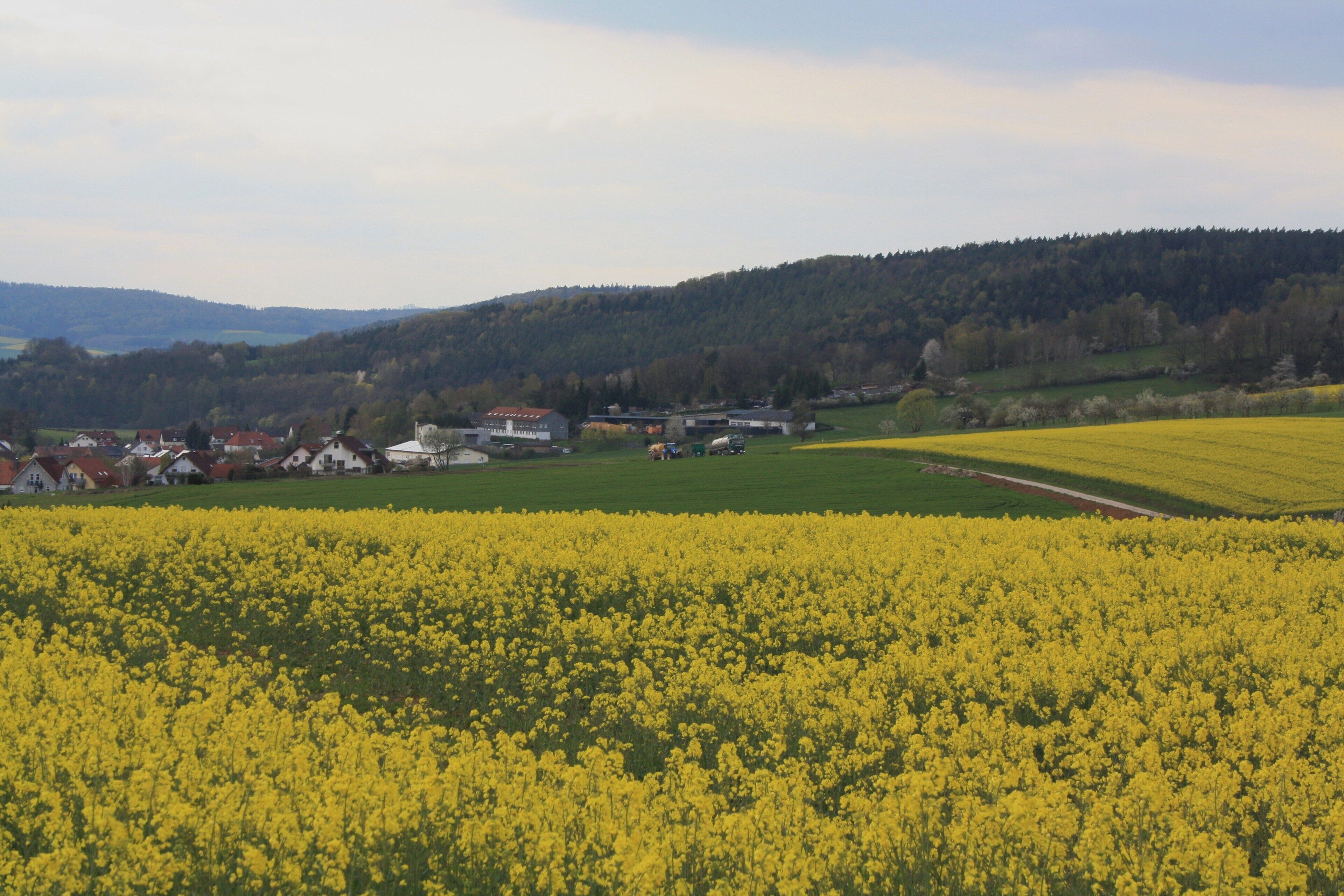 Der Edelsturm bei Fulda-Kämmerzell, Blick auf die nördliche Seite von Kämmerzell