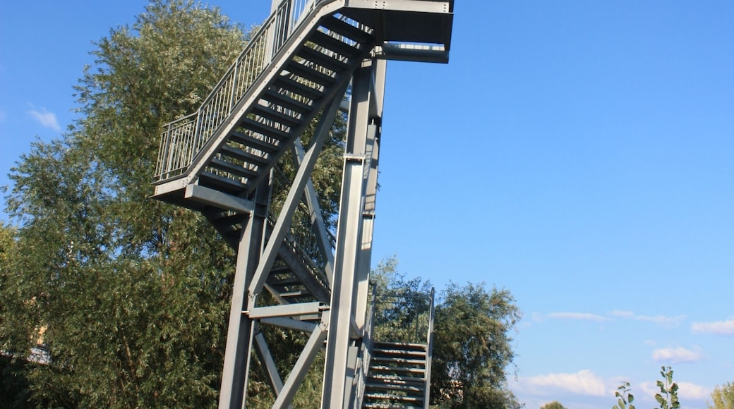 Aussichtsturm am Cellulosehafen in Mainz-Kostheim (Wiesbaden)