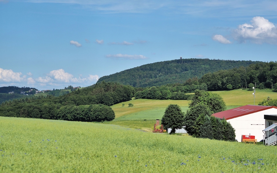 Ein üppiges, grünes Feld mit einem Gebäude mit rotem Dach und einer Hügelkette mit dichtem Baumbestand im Hintergrund.