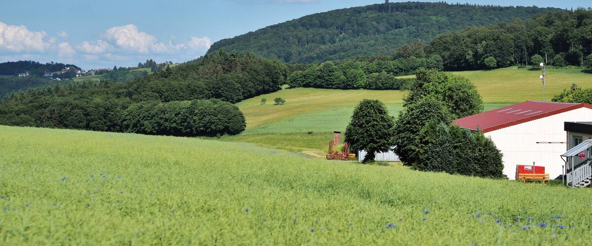 A lush green field with a red-roofed building and a hill with dense trees in the background.